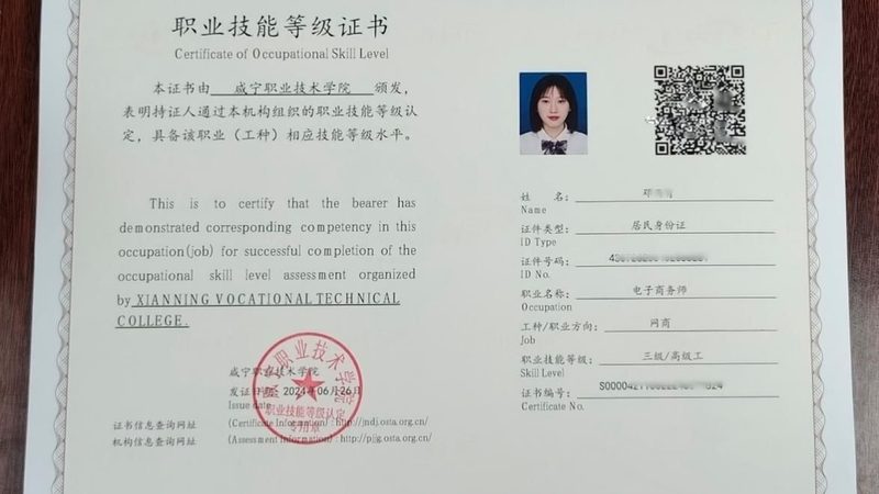 电商代运营成功案例：揭秘平台对比背后的关键要素
